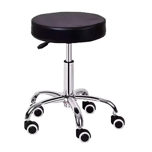 SS Stool